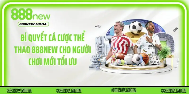 Bí quyết cá cược thể thao 888New cho người chơi mới tối ưu