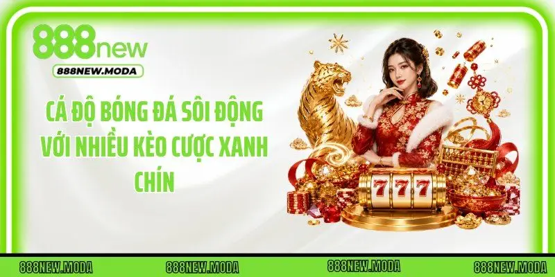Cá độ bóng đá sôi động với nhiều kèo cược xanh chín