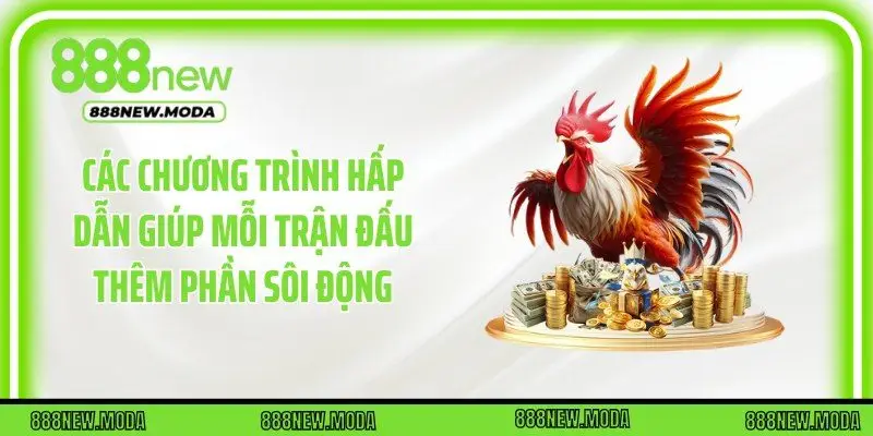 Các chương trình hấp dẫn giúp mỗi trận đấu thêm phần sôi động