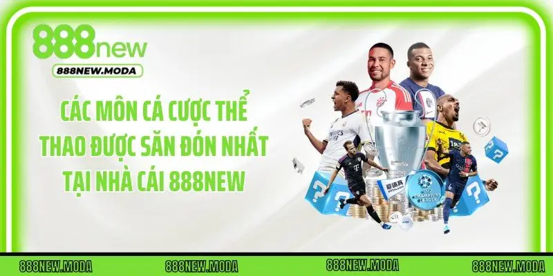 Các môn cá cược thể thao được săn đón nhất tại nhà cái 888New