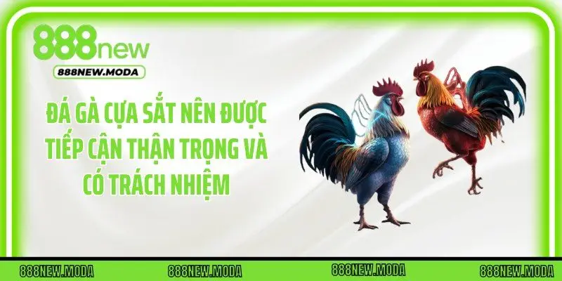 Đá gà cựa sắt nên được tiếp cận thận trọng và có trách nhiệm