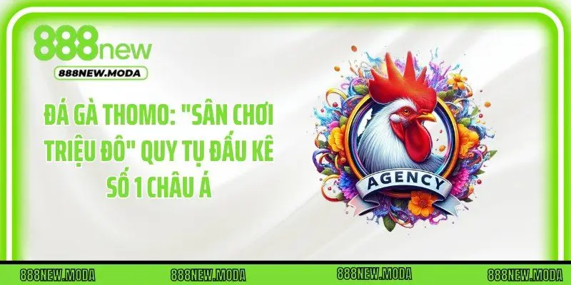 Đá Gà Thomo: "Sân Chơi Triệu Đô" Quy Tụ Đấu Kê Số 1 Châu Á