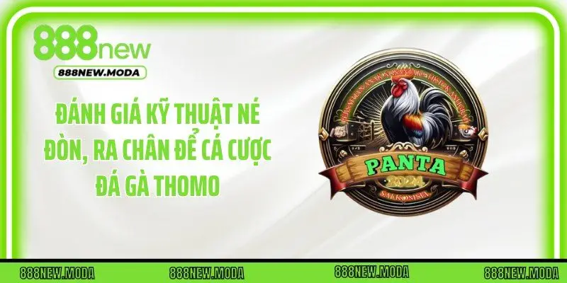 Đánh giá kỹ thuật né đòn, ra chân để cá cược đá gà Thomo