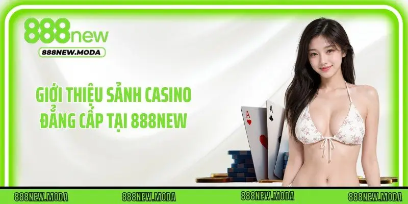 Giới thiệu sảnh casino đẳng cấp tại 888New