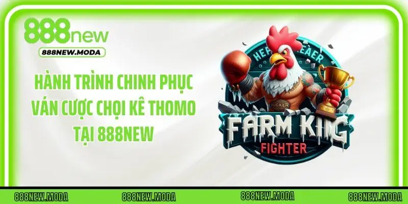 Hành trình chinh phục ván cược chọi kê Thomo tại 888New