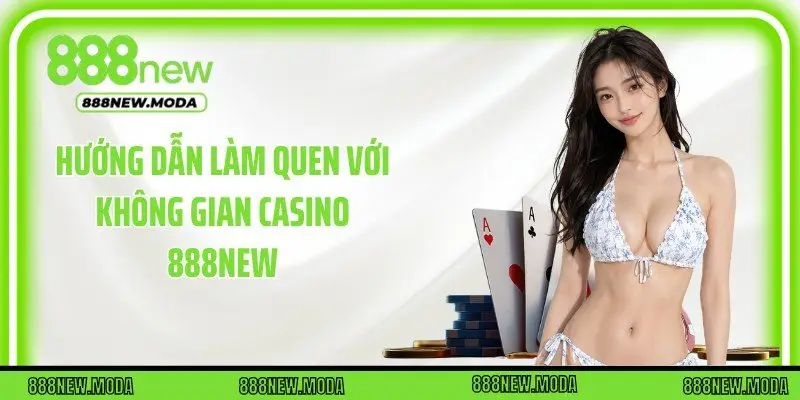 Hướng dẫn làm quen với không gian casino 888New
