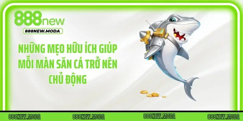 Những mẹo hữu ích giúp mỗi màn săn cá trở nên chủ động