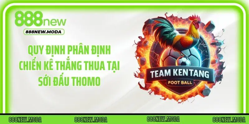 Quy định phân định chiến kê thắng thua tại sới đấu Thomo