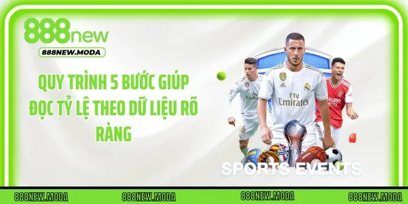 Quy trình 5 bước giúp đọc tỷ lệ theo dữ liệu rõ ràng