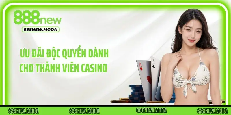 Ưu đãi độc quyền dành cho thành viên casino 